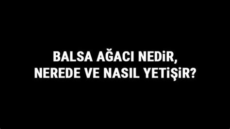  Balsa Ağacı: Hafiflik ve Yüksek Dayanıklılık İçin Doğal Bir Mucize Mi?